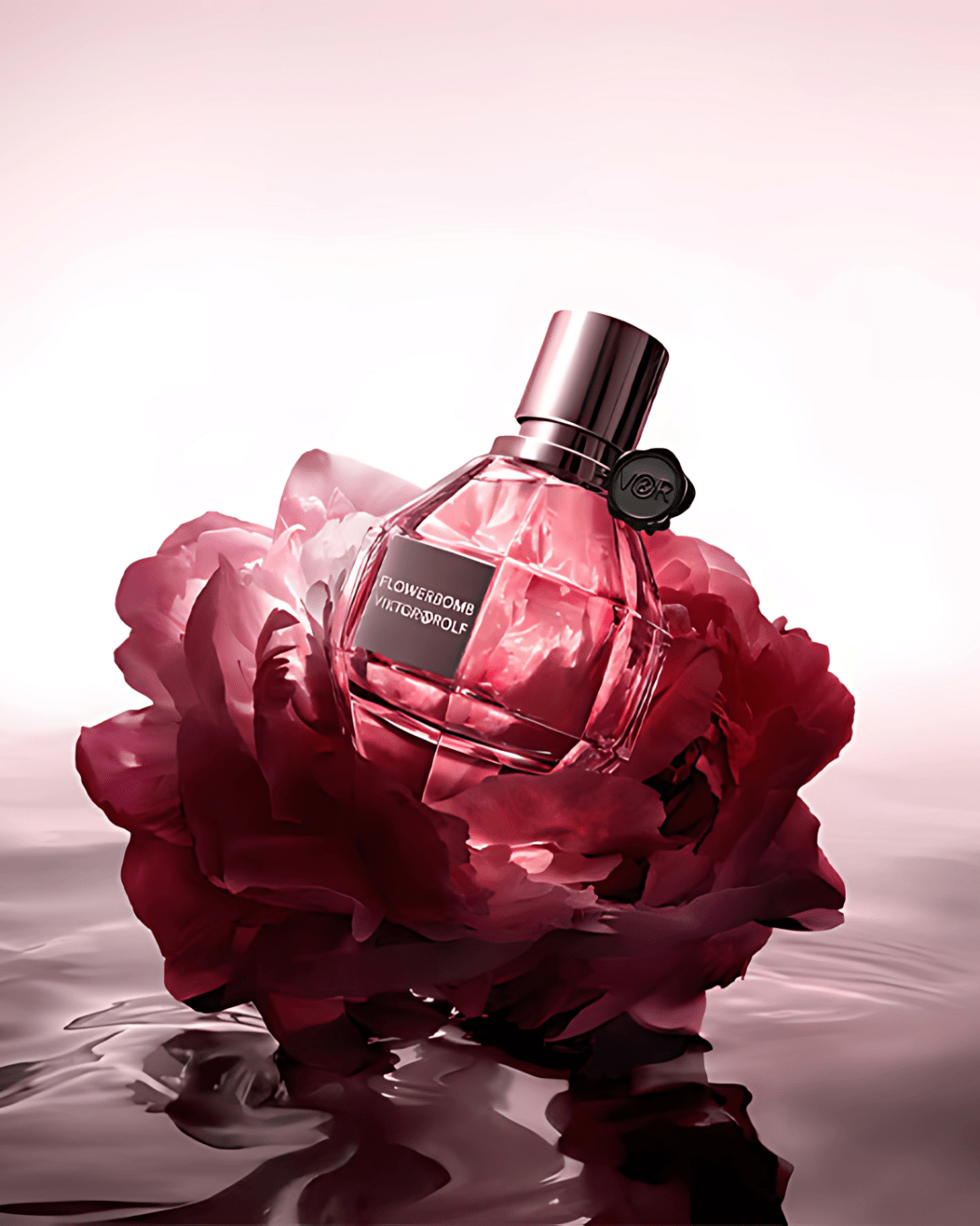 VIKTOR & ROLF - Giiz store