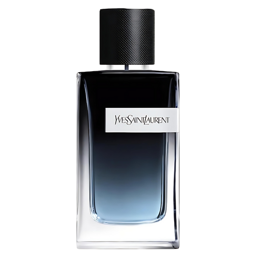 YVES SAINT LAURENT Y