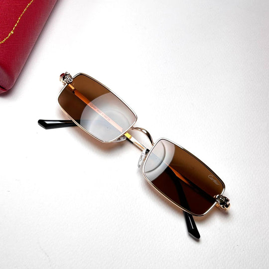 Cartier Panthère de Cartier rectangle - Brown - Giiz store