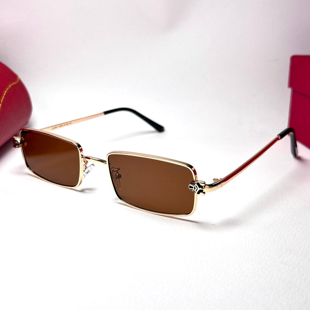 Cartier Panthère de Cartier rectangle - Brown - Giiz store