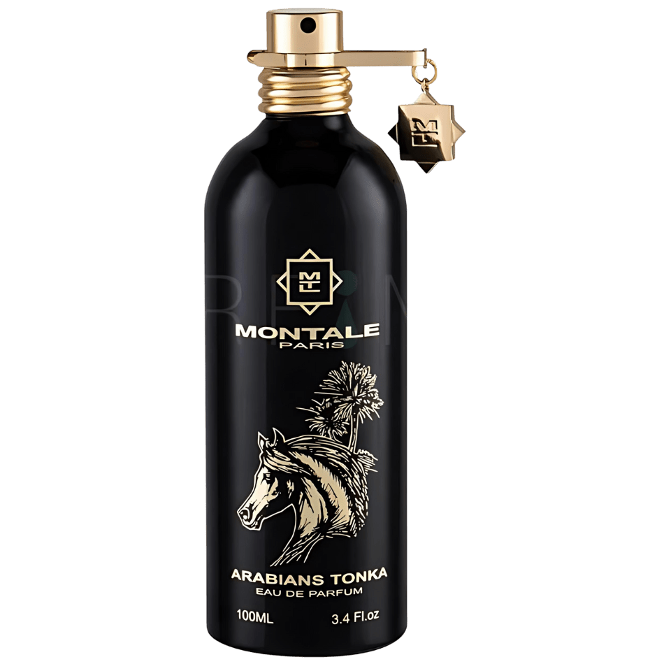 MONTALE ARABIANS TONKA Eau de Parfum - Giiz store